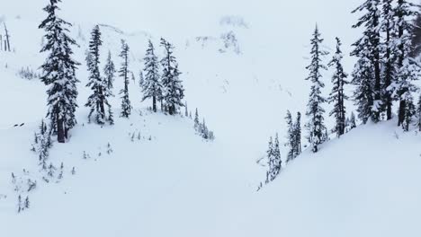 Una-Toma-Aérea-De-Un-Valle-Cubierto-De-Nieve-Que-Revela-Montañas-En-El-Fondo.