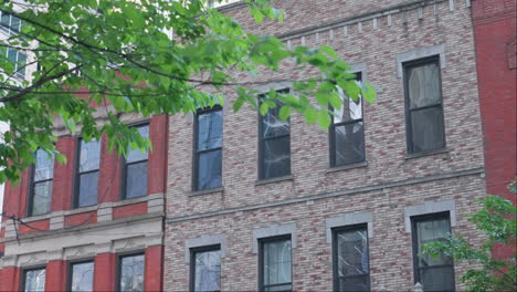 View-from-city-street-on-stylish-historic-looking-old-red-brick-building-with-tree-branch-hanging-close-to-camera