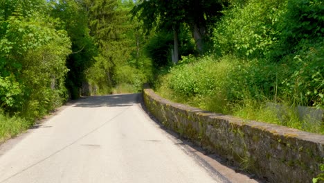 Spaziergang-Durch-Die-Grüne-Straße-In-Der-Süddeutschen-Landschaft