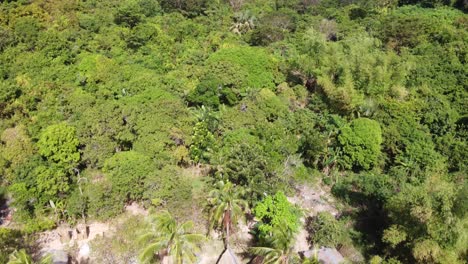 Eco-Camp-Huts-Isolated-on-Secluded-Tropical-Beach-in-Palawan,-Drone-Reveal