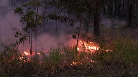 Incendio-Forestal-Provocado-Por-Quemas-Para-Reducir-Riesgos,-Mount-Coot-tha