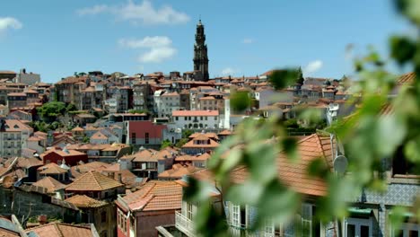 Some-branches-with-leaves-waving-in-front-of-the-lense,-with-the-cityscape-of-Portu-and-a-church-tower-in-the-background