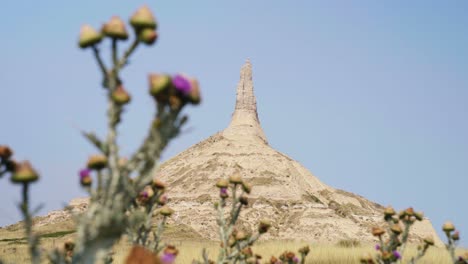 Chimney-Rock-National-Historic-Site-in-Nebraska-with-scotch-thistles