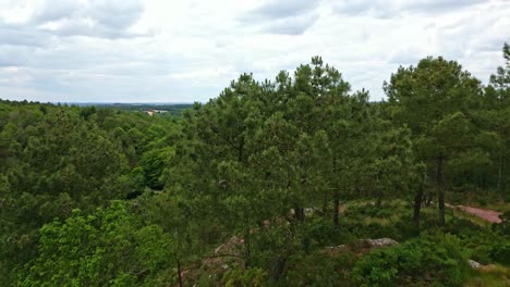 Valle-Sin-Retorno,-Paimpont,-Bosque-De-Broceliande,-Bretaña-En-Francia