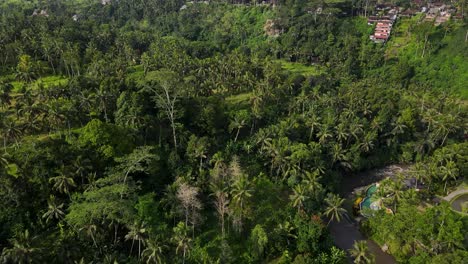 Aerial-views-of-Bali's-Sayan,-Ubud-Jungle-featuring-lush-greenery,-and-traditional-houses,-showcasing-the-natural-and-cultural-beauty-of-Indonesia's-tropical-forests