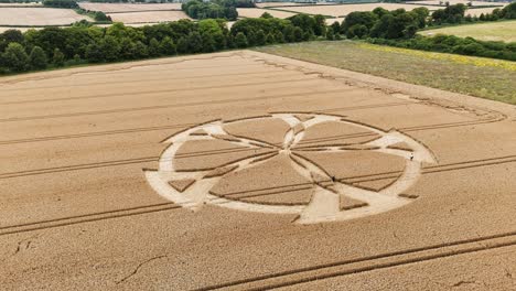 Vista-Aérea-De-Círculos-De-Cultivos-De-Anillos-De-Badbury-Que-Rodean-Patrones-Geométricos-En-Un-Campo-De-Trigo-Agrícola-De-Dorset