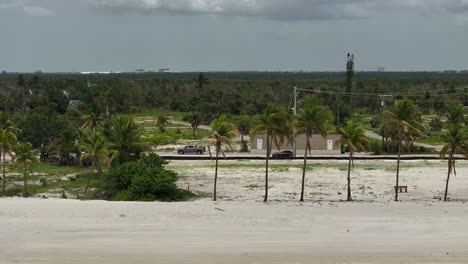 Vista-Panorámica-De-Palmeras-Y-Un-Banco-De-Parque-Vacío-En-Fort-Myers-Beach,-Florida