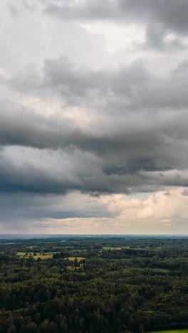 Storm-clouds-coming-in-above-forest