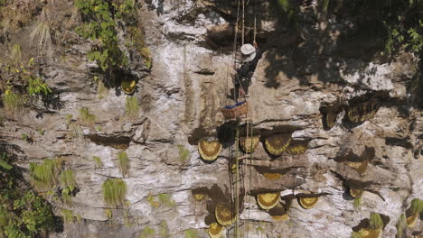 Toma-Aérea-De-La-Caza-De-Miel-Loca-Medicinal-En-Nepal