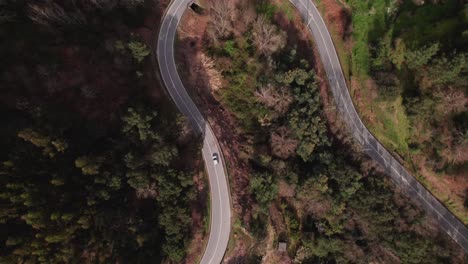 Drohne-Verfolgt-Ein-Auto,-Das-Auf-Einer-Autobahn-Im-Ländlichen-Portugal-Durch-Bäume-Fährt