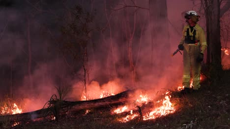 Bomberos-Trabajan-Para-Controlar-Los-Incendios-De-Reducción-De-Riesgos,-Mount-Coot-tha