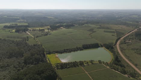 Vista-Aérea-De-Gran-Altitud-Sobre-Los-Campos-De-Té-Verde-Local-Y-Su-Entorno,-Argentina