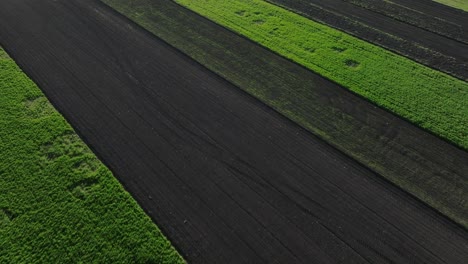 Campos-De-Cultivo-Verdes-Y-Exuberantes-Con-Patrones-Distintivos-Y-Bordes-De-Suelo-Oscuro,-Vista-Aérea