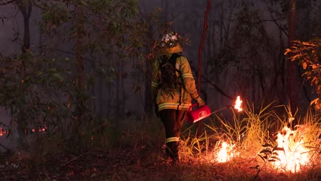 Firefighter-lighting-hazard-reduction-burns-to-control-fire-fuel-load,-Mount-Coot-tha