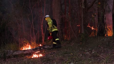 Feuerwehrleute-Zünden-Gefahrenminderungsbrände-An,-Um-Die-Brennstoffmenge-Zu-Minimieren,-Mount-Coot-tha