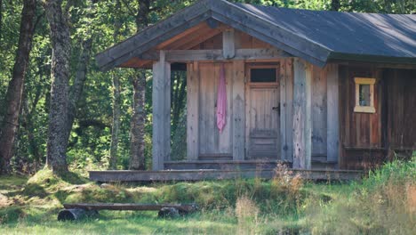 A-small-wooden-cabin-in-the-forest