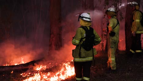 Bomberos-Supervisando-Una-Quema-De-Reducción-De-Riesgos,-Mount-Coot-tha