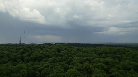 Dichtes-Dickicht-Mit-Bewölktem-Himmel-In-Der-Nähe-Der-Hafenstadt-Swinemünde-Im-Nordwesten-Polens