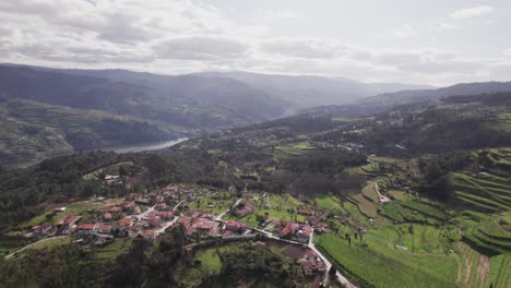 Landscape-along-the-Douro-River-with-small-farmers'-farms-in-Portugal