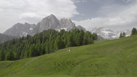 View-across-a-pasture-towards-Mount-Duerrenstein---Picco-di-Vallandro,-Dolomites,-Toblach-Dobiacco,-Pustertal-Valley,-South-Tyrol,-Italy