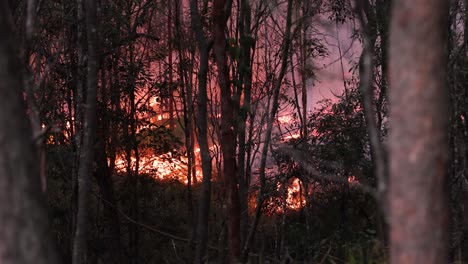 Incendio-Forestal-Provocado-Por-Quemas-Para-Reducir-Riesgos,-Mount-Coot-tha