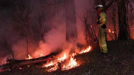 Firefighter-works-to-control-hazard-reduction-burns,-Mount-Coot-tha