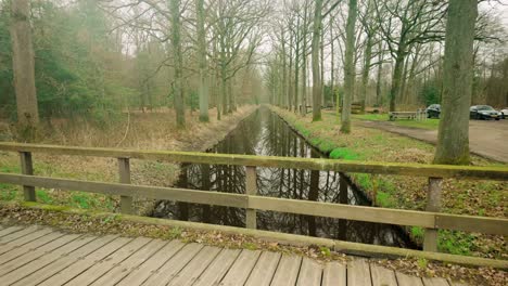 Little-canal-flowing-through-Pan-natural-forest-park-in-Cranendonck,-Noord-Brabant-during-winter