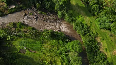 Aerial-Drone-Footage-of-the-dense-greenery-and-meandering-streams-of-the-Sayan-jungle,-Ubud,-Bali