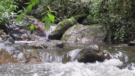 Natur-Hintergrund:-Kleiner-Plätschernder-Bach-Im-Grünen-Tropischen-Regenwald