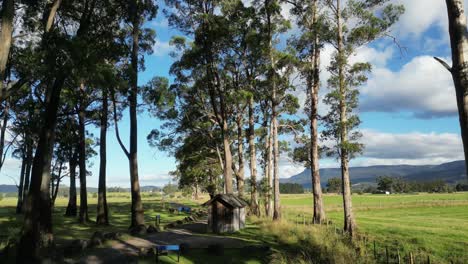 Campsite-between-trees-in-rural-landscape,-Tasmania-in-Australia