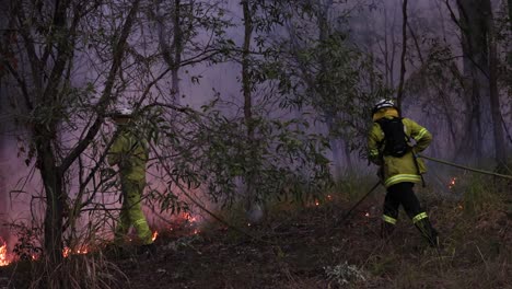 Firefighters-work-to-control-hazard-reduction-burns,-Mount-Coot-tha