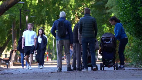 Locals-enjoy-a-leisurely-walk-on-a-tree-lined-pathway-in-a-tranquil-park-of-city-botanic-gardens,-an-urban-oasis-in-Brisbane-central-business-district,-slow-motion-shot