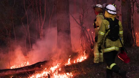 Bomberos-Supervisando-Incendios-Para-Reducir-Riesgos,-Mount-Coot-tha