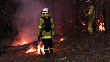 Bomberos-Supervisando-Y-Controlando-Incendios-De-Reducción-De-Riesgos-Para-Minimizar-La-Carga-De-Combustible,-Mount-Coot-tha