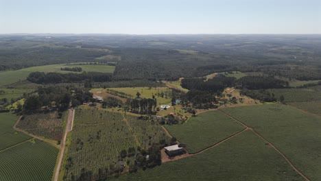 Hohe-Höhe-Und-Annäherung-An-Die-Luftbewegung-über-Dem-örtlichen-Golfclub-Und-Den-Grünen-Teefeldern,-Argentinien