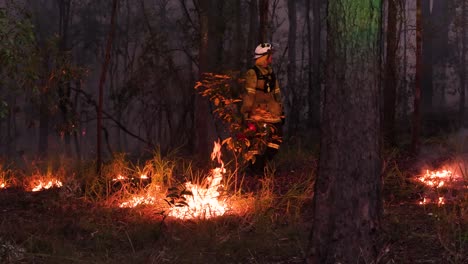 Firefighter-lighting-hazard-reduction-burns-to-control-fire-fuel-load,-Mount-Coot-tha