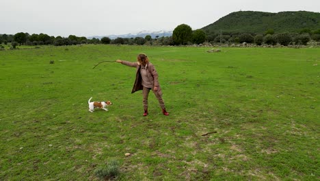 Drone-footage-of-a-Caucasian-woman-in-a-coat-on-a-green-meadow-playing-with-a-white-Jack-Russell-puppy-with-brown-spots,-she-makes-him-jump-to-catch-a-stick,-everything-is-in-slow-motion