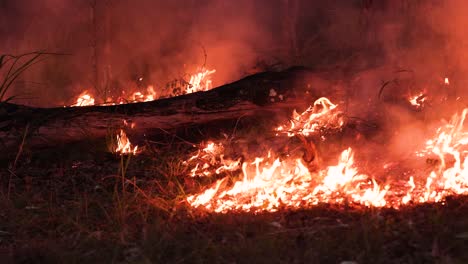 Vista-Cercana-De-Las-Quemas-De-Reducción-De-Riesgos-Para-Gestionar-La-Carga-De-Combustible,-Mount-Coot-tha