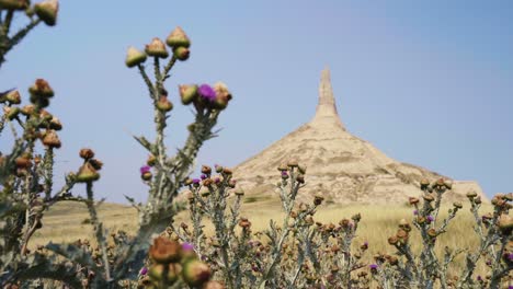 Rack-focus-from-cotton-thistles-to-Chimney-Rock-National-Historic-Site