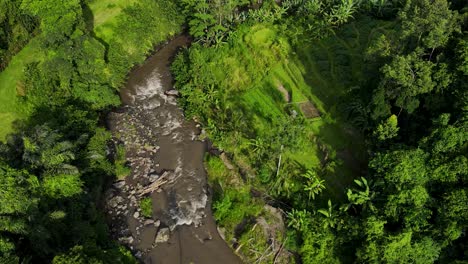 Aerial-view-of-Sayan,-Ubud-Jungle's-lush-greenery,-meandering-stream,-and-traditional-houses-in-Bali,-Indonesia-capturing-the-untouched-beauty-of-this-tropical-paradise