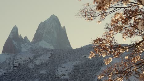 Vista-Panorámica-Del-Fitz-Roy-En-Un-Día-Nevado-De-Invierno,-Toma-Desde-Detrás-De-Una-Rama-De-Follaje-Amarillo,-Patagonia,-Argentina