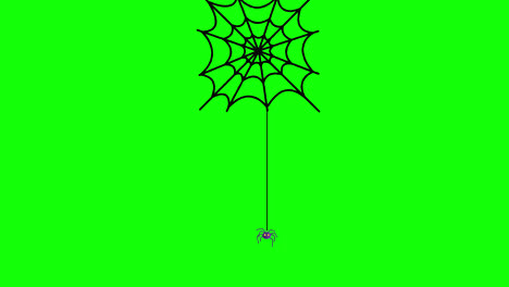 Halloween-Spider-hanging-loop-animation-Halloween-concept-element-with-alpha-channel