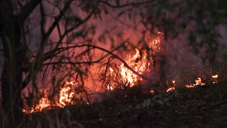 Buschfeuer-In-Der-Ferne-Während-Der-Brandbekämpfung,-Mount-Coot-tha