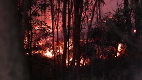 Las-Quemas-Para-Reducir-Los-Riesgos-Reducen-La-Carga-De-Combustible-En-El-Bosque-Del-Monte-Coot-tha