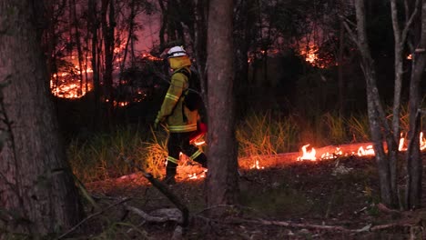 Los-Bomberos-Encienden-Las-Quemas-Para-Reducir-El-Riesgo-De-Incendio-Y-Minimizar-La-Carga-De-Combustible,-Mount-Coot-tha