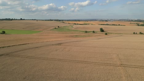 Polnische-Landschaft-Mit-Goldenen-Getreidefeldern---Luftaufnahme-Einer-Drohne