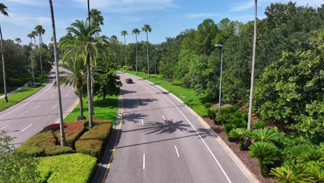 Aerial-birds-eye-shot-of-car-on-street-with-palm-trees-during-sunny-day