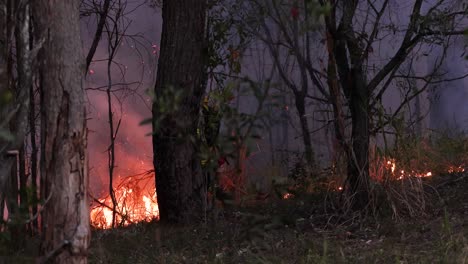 Buschfeuer-In-Der-Ferne-Während-Der-Brandbekämpfung,-Mount-Coot-tha