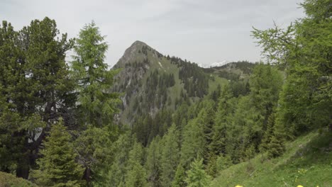 View-towards-Mount-Lungkofel---Monte-Lungo-in-the-Dolomites,-Pustertal-Valley---Val-Pusteria,-South-Tyrol,-Italy