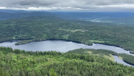 A-stunning-panoramic-view-from-the-top-of-a-hill-in-Telemark,-Norway,-showcasing-a-vast-pine-forest-interspersed-with-tranquil-lakes